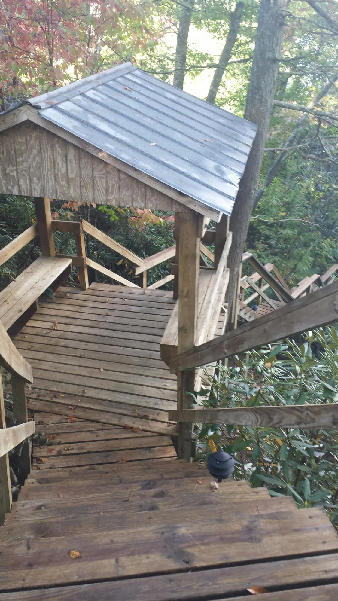 Metal roofed shelter over wooden steps on a wooded walkway — Skylight Repair & Installation work by our crew in Lake Mary